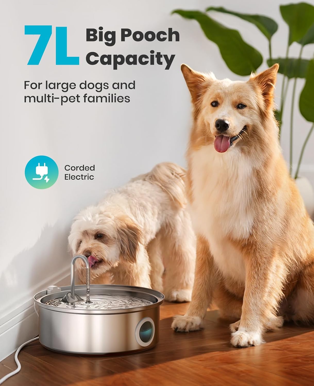 Matching corded oneisall7L fountain at an indoor shared pet station