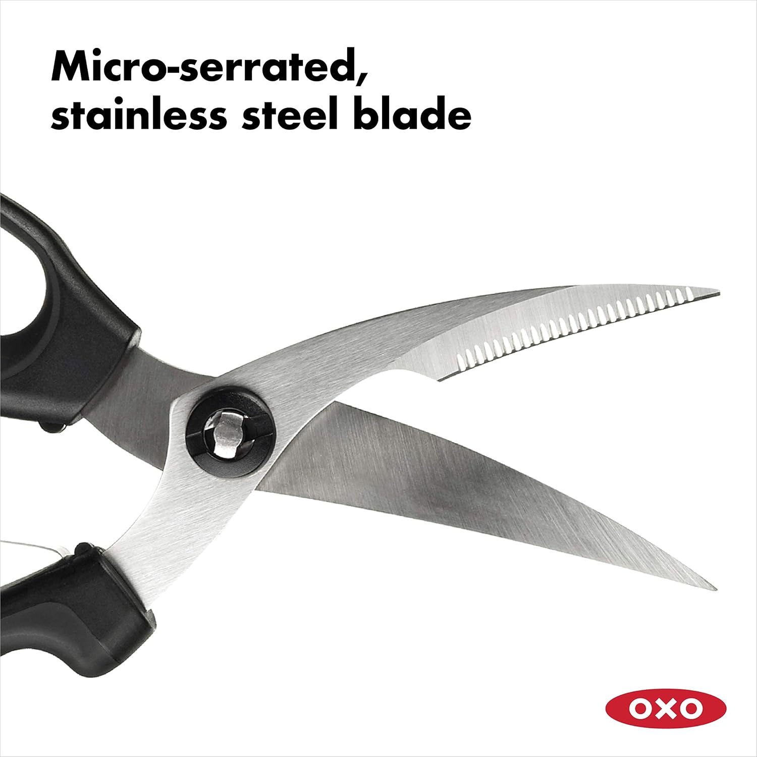 Close-up of the micro-serrated stainless steel blade on OXO poultry shears