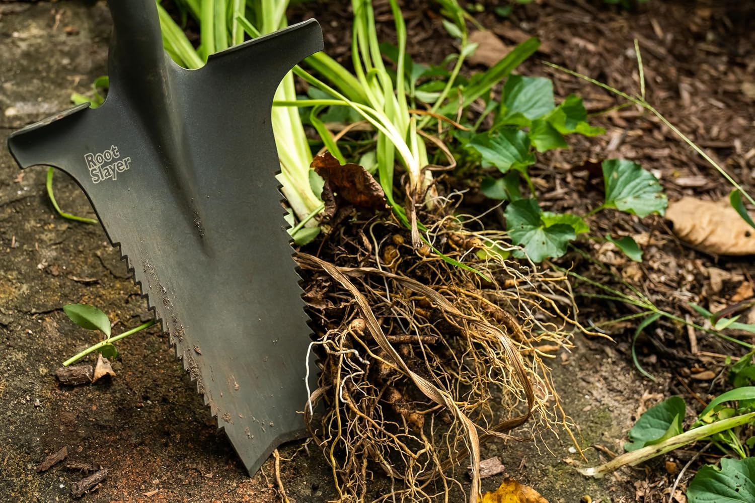 Close-up of the Root Slayer 22011 serrated blade and notched tip beside exposed plant roots