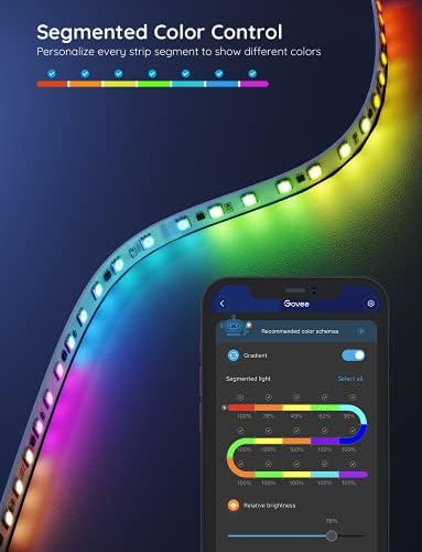 Govee H6147 segmented RGBIC color control shown with the Govee Home app