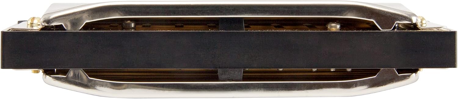 Rear view of the exact Hohner Special20 showing small cover openings and black comb